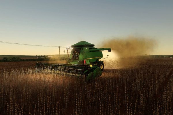 Современные методы на магазины котиков